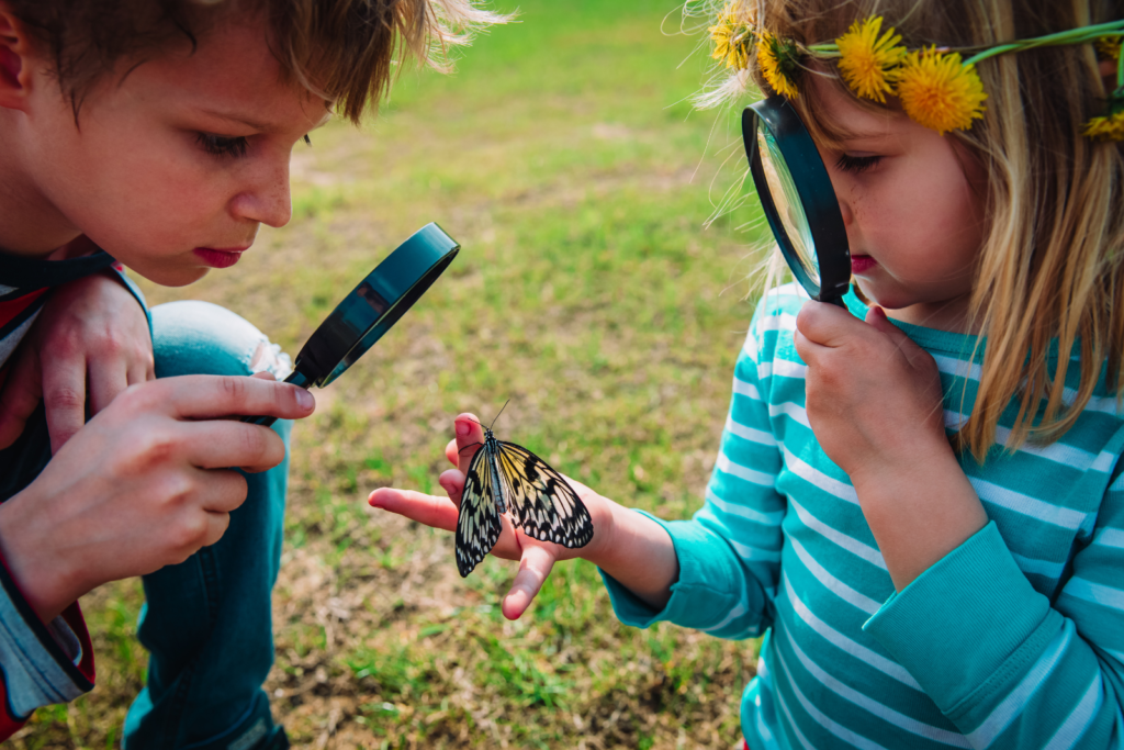 Preschool kids learning outdoors